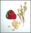 strawberry, flowers and peanuts