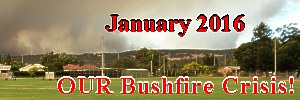 bushfire