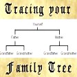 family tree