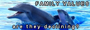 image & words