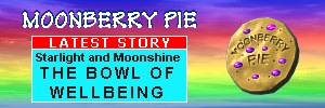 Moonberry Pie