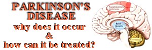 Click here for the latest Focus article brain and words