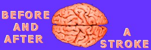 brain and words