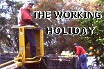fruit pickers